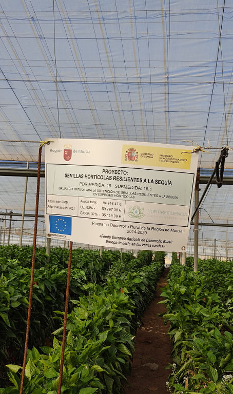 horti