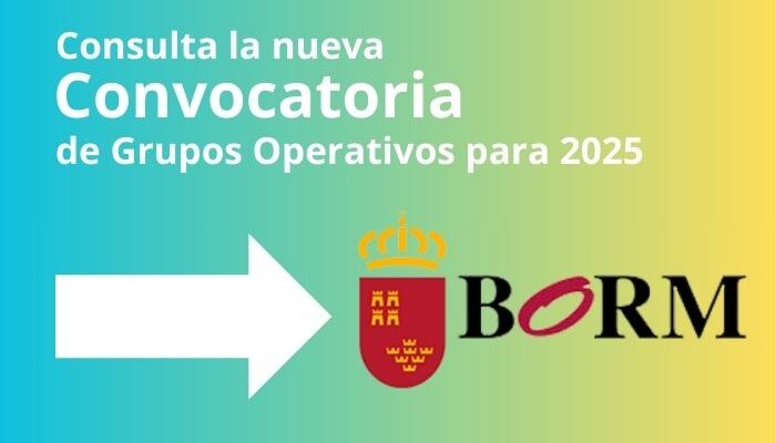 Consulta la nueva convocatoria en el BORM